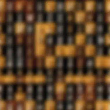 Diverse Chess Software Icons An illustration of various chess software icons.
