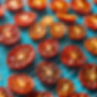 Colorful Sun-dried Tomatoes on Drying Rack