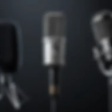 Diverse range of microphone accessories