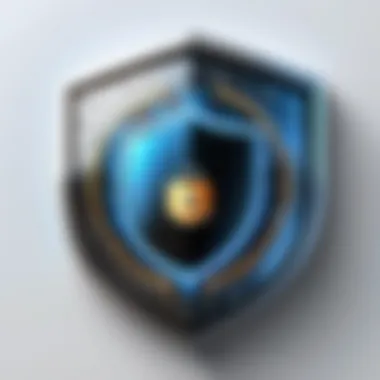 Shield with digital lock icon