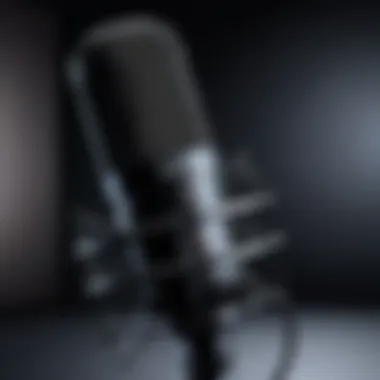 Studio Microphone for Professional Recording Professional studio microphone for recording
