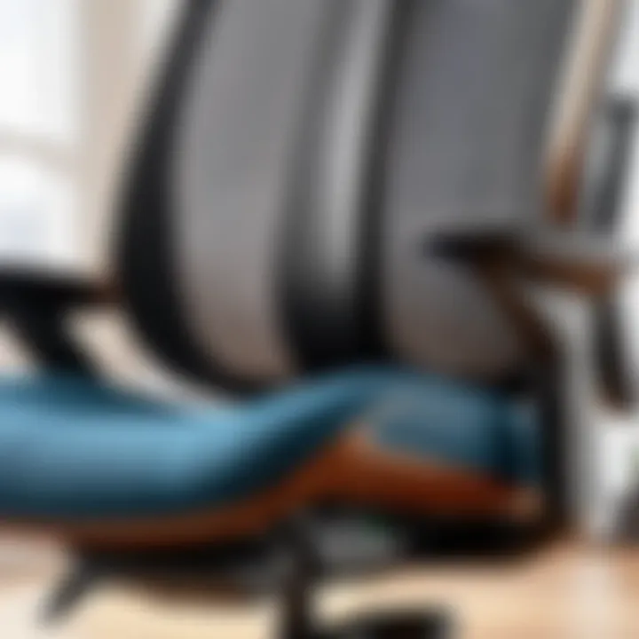 Adjustable lumbar support feature of a high-quality office chair