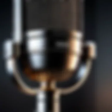 Close-up of a high-end condenser microphone