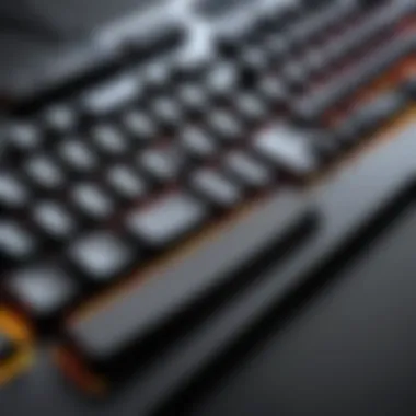 Gamer actively using SteelSeries keyboard, immersed in gameplay.