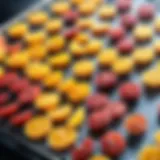 Herbal Infused Dehydrated Fruits on Drying Rack