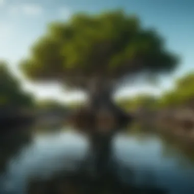 Mangrove trees thriving in a coastal wetland ecosystem