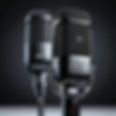 Professional microphone dynamic