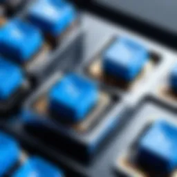 Close-up of blue switches showcasing their mechanical design