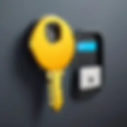 Illustration of a virtual key unlocking a digital world