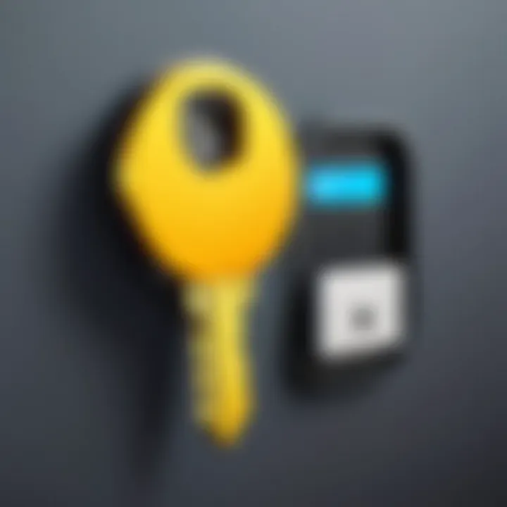 Illustration of a virtual key unlocking a digital world